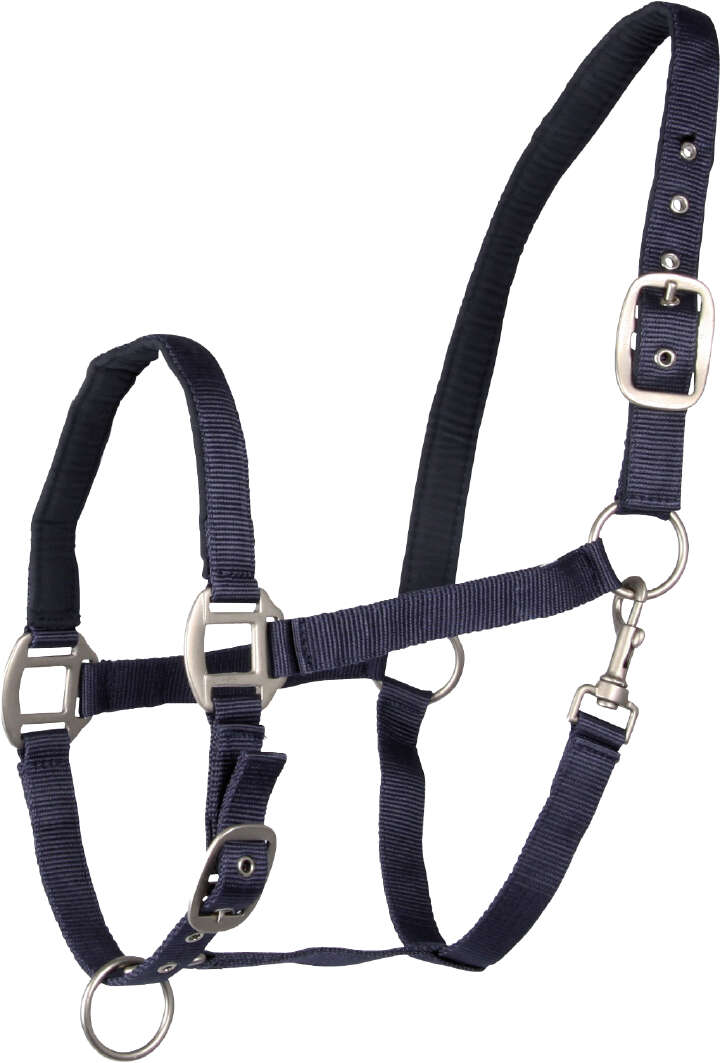 KANTRIE Halfter Satin